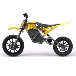 Electric moped DT06