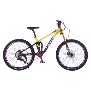 DT-Bike04