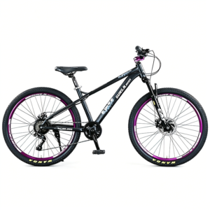 DT-Bike05