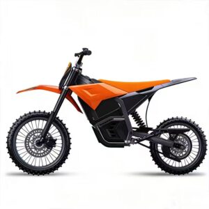 Electric moped DT05