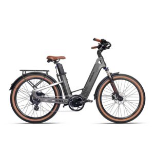 Electric Folding Bike Pro6