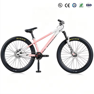 EU/US Stock Aluminum Disc Brake Single Speed Comfortable Saddle Ordinary Gradient Hardtail MTB Dirt Jump Bike Fast Shipping