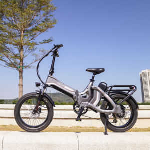 750W Brushless Motor Electric Bicycle One-Folding 48V 20Ah Lithium Battery 7 Speed Steel Frame with Rear Hub Motor