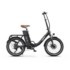 DOTOP 20 Inch Foldable Low Step Electric Bicycle 48V 250W Motor, Shimano 7 Speed, IPX5 Waterproof, Long Range Folding Ebike for Urban Travel